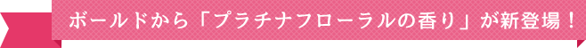 ボールドから「プラチナフローラルの香り」が新登場！