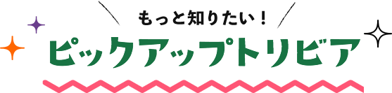 もっと知りたい！ピックアップトリビア