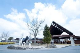 熊本のおすすめデートスポット15選 カップルで行きたい定番スポットは？