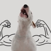 イラストレーターの飼い主と親友の犬が生み出すユーモア溢れる作品　画像15選