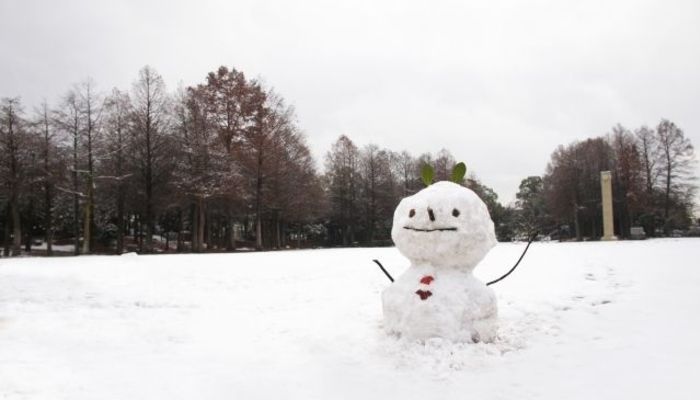 これを見ておけばそれっぽく滑れる 初心者必見 スキーの基本的な滑り方講座 大学入学 新生活 学生旅行 マイナビ 学生の窓口