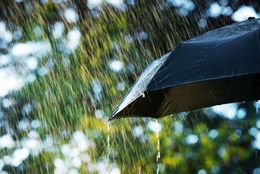 梅雨が嫌いな大学生は88.4%！ 梅雨の時期に不快だと感じることTop5
