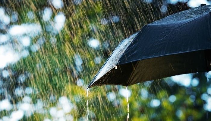 梅雨が嫌いな大学生は 4 梅雨の時期に不快だと感じることtop5 入学 新生活 入学準備 新生活 マイナビ 学生の窓口