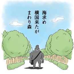 【横国編】悲しみゴリラ川柳