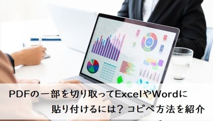 Pdfの一部を切り取ってexcelやwordに貼り付けるには コピペ方法を紹介 社会人生活 ライフ Itスキル フレッシャーズ マイナビ 学生の窓口