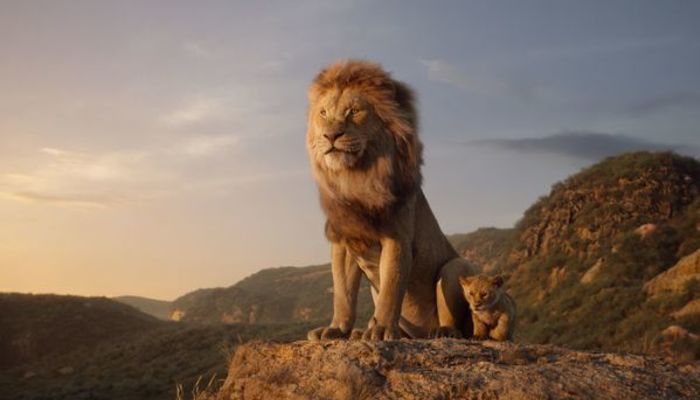 ライオン キングのような 動物の王 って本当にいるの ライオンの生態について飼育員さんに聞いてみた 大学入学 新生活 学生トレンド 流行 マイナビ 学生の窓口