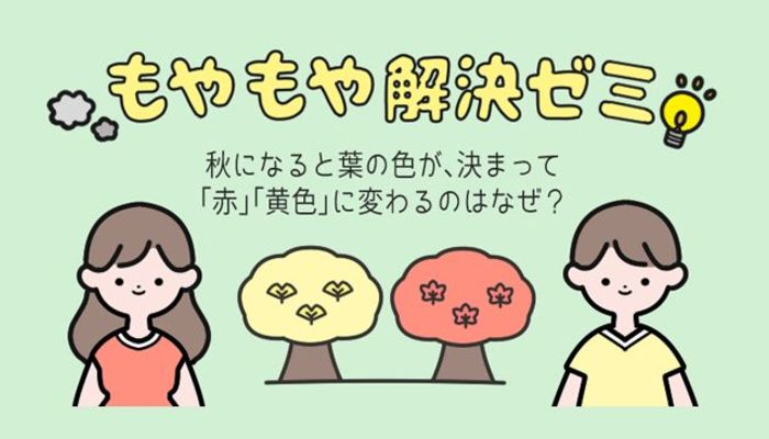 秋になると葉の色が 決まって 赤 黄色 に変わるのはなぜ もやもや解決ゼミ 大学入学 新生活 学生トレンド 流行 マイナビ 学生の窓口