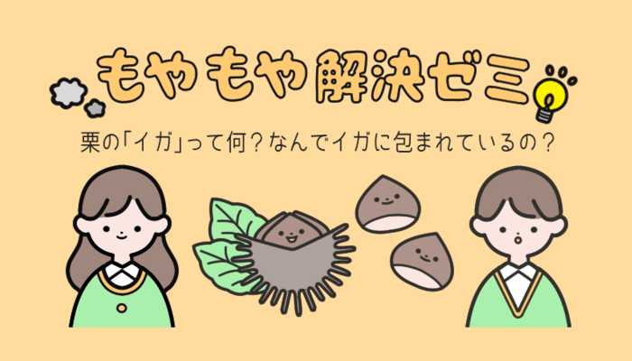 栗の イガ って何 なんでイガに包まれているの もやもや解決ゼミ 大学入学 新生活 学生トレンド 流行 マイナビ 学生の窓口