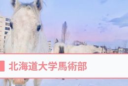 馬に乗ったりお世話をしたり、非日常体験を日常にすることができる！【北海道大学馬術部＠北海道】を紹介 #学生団体サークルガイド2022