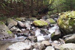 【渓流釣り入門】はじめての「渓流釣り」おどおどを解決！（楽しむためのマナー編）