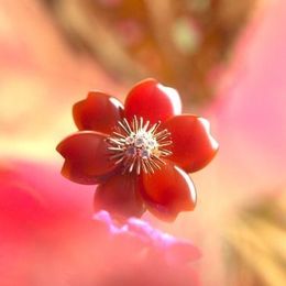 華道とジュエリーの融合！？「LIGHT OF FLOWERS 花と光」特別動画を公開 #Z世代Pick
