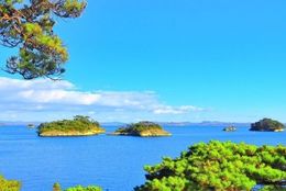 【日本三景「松島」の絶景を眺めたい！】はじめての「松島」おどおど ＃あつまれ！_おどおど学生。