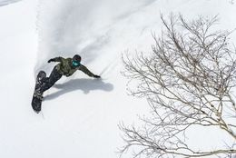 冬はスキー場へ！新潟県内のスキー場でプレゼント企画・期間限定特別優待を実施！ #Z世代Pick