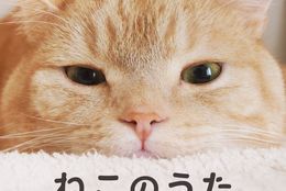 今年ももうすぐ「猫の日」がやってくる！ニャンダフルな猫コンピレーションアルバム発売決定！ #Z世代Pick