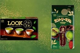 抹茶や日本茶をチョコと組み合わせた！季節限定の味わいが新登場！！ #Z世代Pick