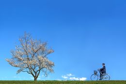 午前七時過ぎ、白い息を吐きながらいつもの道を歩き駅へ向かう。駅までの道は…｜エッセイ企画「#Ｚ世代の目線から」キーワード：あなたの2022