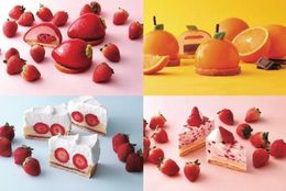 大人気のフルーツケーキ“まるでフルーツ”がやってくる！ケーキと焼菓子の店「パティスリージロー」 #Z世代Pick