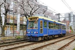 【東京の路面電車でぶらり春散歩はいかが？】はじめての「都電荒川線（東京さくらトラム）おどおど」＃あつまれ！_おどおど学生。
