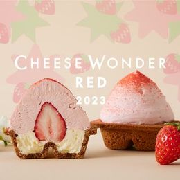丸ごとイチゴを生チーズムースで包む、フルーツアイスとチーズケーキのフュージョン #Z世代Pick