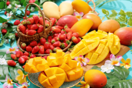毎年大人気！！ブランドいちご＆マンゴー食べ放題！高級フルーツ「アールスメロン」も #Z世代Pick