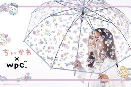 雨の日も気分が上がる！ちいかわデザインのキュートなビニール傘！ #Z世代Pick