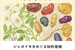 ジャガイモってこんなに面白い!?アメリカのベストセラーで幻の名著『ポテト・ブック』ジャガイモの起源から歴史、食文化、料理法の考察など、人気エッセイストで画家の玉村豊男が書き下ろし、発売！ #Z世代Pick