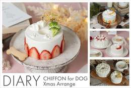 【愛犬とシェアできる】犬用シフォンケーキ「CHIFFON for DOG」を販売中！ #Z世代Pick