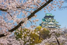 【大阪城西の丸庭園 大阪迎賓館】大阪城と桜を望む観桜ランチ・ディナーの予約受付を開始 #Z世代Pick