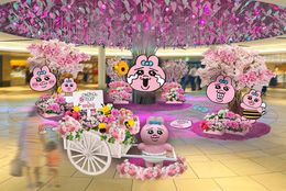 ～春爛漫！可愛さ満開！！おぱんちゅうさぎと花づくしの１カ月半～3月1日(金)から大阪の地下街『ホワイティうめだ』が『おぱんちゅうさぎ』のピンク色に包まれます。 #Z世代Pick