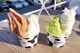 【関東近郊で絶品「ミルクアイス」が楽しめる牧場5選】今週末行きたい！美味しい「ミルクアイス」が食べられる人気の牧場 ＃あつまれ！_おどおど学生。