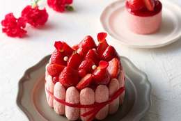 四季菓子の店 HIBIKA（ひびか）が、 5月10日（金）より“母の日ケーキ”を新発売！ #Z世代Pick