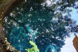 「湧き水スポット」レポ】美しいコバルトブルーの『柿田川湧水群』に行ってみた！　＃あつまれ！_おどおど学生。