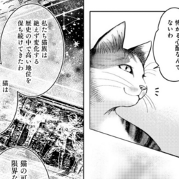 猫の可能性に限界はない！長い歴史の中で高い地位を保ち続けてきた猫族は…【猫語の教科書】 #Z世代pickコミック