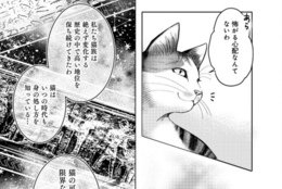 猫の可能性に限界はない！長い歴史の中で高い地位を保ち続けてきた猫族は…【猫語の教科書】 #Z世代pickコミック