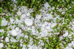 【ゲリラ豪雨と雹（ひょう）多発！】なぜ夏でも氷の粒「雹」が降ってくるの？　#もやもや解決ゼミ