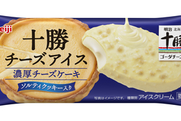 チーズ好きも大満足のチーズ感！！チーズラバーに捧げるアイスが新発売！「明治 十勝チーズアイス 濃厚チーズケーキ」先行試食会レビュー！ #Z世代Pick