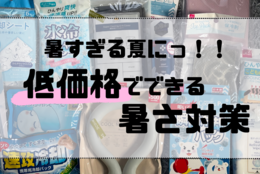 【100均グッズ】暑すぎた夏にさよなら！100均のアイテムで、来年こそは暑さを解消！DAISO（ダイソー）、Can★Do（キャンドゥ）、Seria（セリア）、3COINS(スリーコインズ)の商品を試してみた！！#大学生正直レビュー