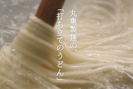 【丸亀製麺】「うどん」無料配布！ 2024年10月16日(水)・17日(木)の2日間限定！！ #Z世代Pick