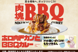 「肉塊」第3弾はBBQ×チェダーチーズ！ココイチ「ホロ肉ドカンとBBQカレー」11月15日より店舗・数量限定で販売 #Z世代Pick