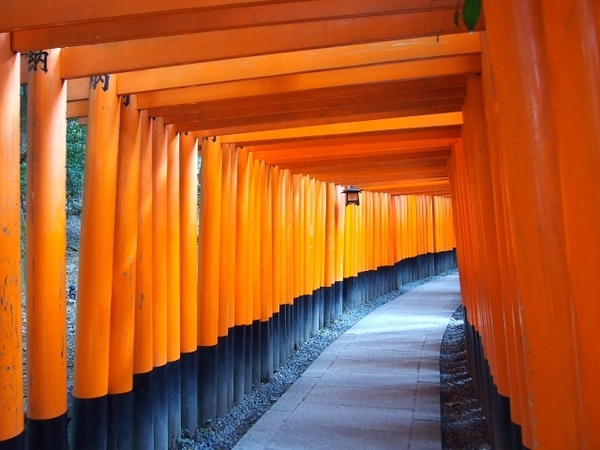 【国内卒旅ランキング】京都の魅力・おすすめ情報