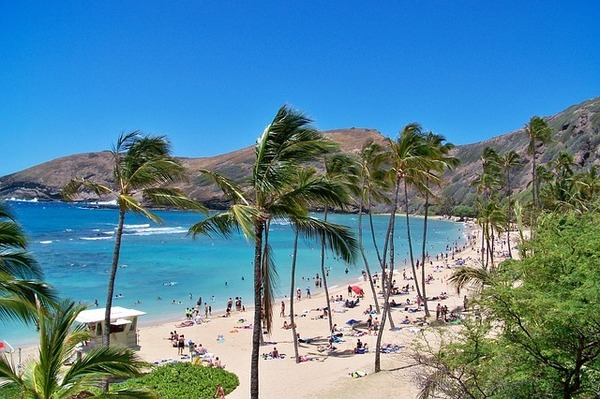 【海外卒旅ランキング】ハワイの魅力・おすすめ情報