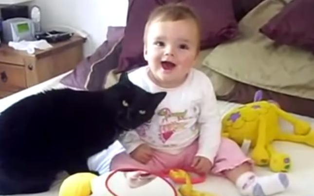 15連発!!「猫と赤ちゃんは通じ合えてる説」を裏付けるような、幸せムービー