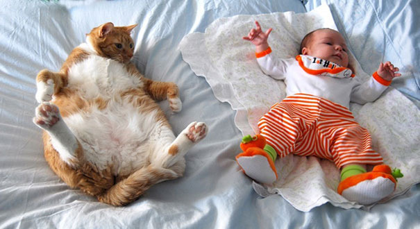 ほっこり姿に胸きゅんっ！ 赤ちゃんとネコの仲むつまじいツーショット10選