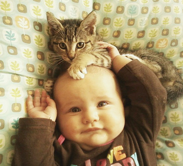 ほっこり姿に胸きゅんっ！ 赤ちゃんとネコの仲むつまじいツーショット10選