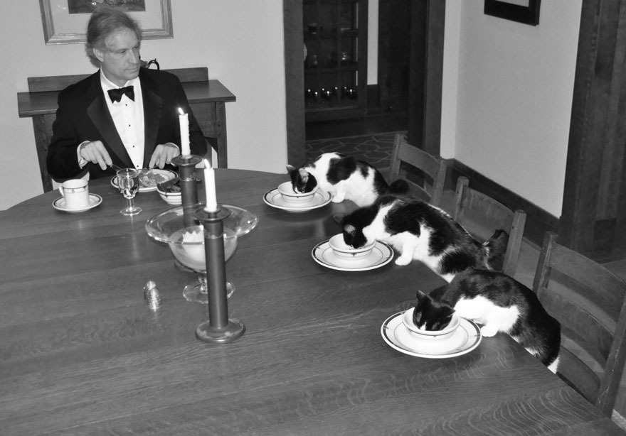 鬼のいぬ間にネコとごはん！ 妻の旅行中に3匹のネコとディナーを楽しむ夫