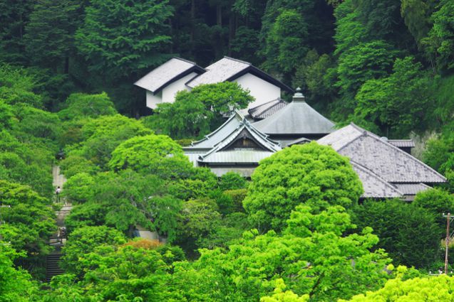 鎌倉に旅行するなら絶対行くべきオススメ人気観光スポット14選