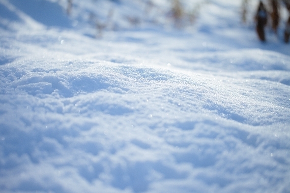 出身者に聞いた！ 他地域の人に自慢したいご当地名物6選「雪の回廊（青森県）」「じゃこカツ（愛媛県）」