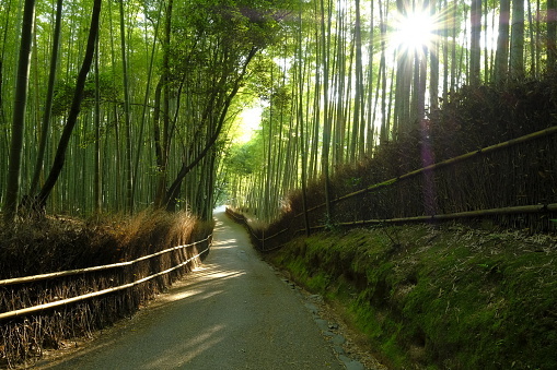 嵐山観光で絶対行きたい！ おすすめスポット8選【京都】