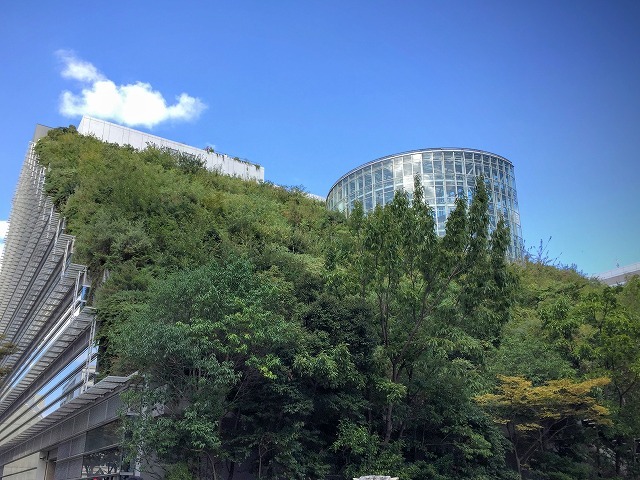  福岡の旅のおともに！ 近畿大学建築科の学生が案内する、天神駅周辺の名建築物めぐり4つ【Part1】
