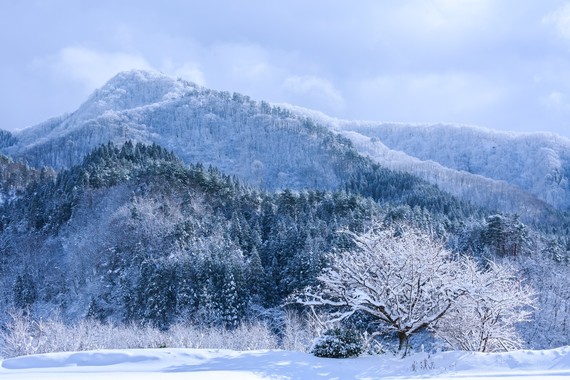 紅葉の次はこれ！ 大学生が雪景色を見に行きたい都道府県ランキング！